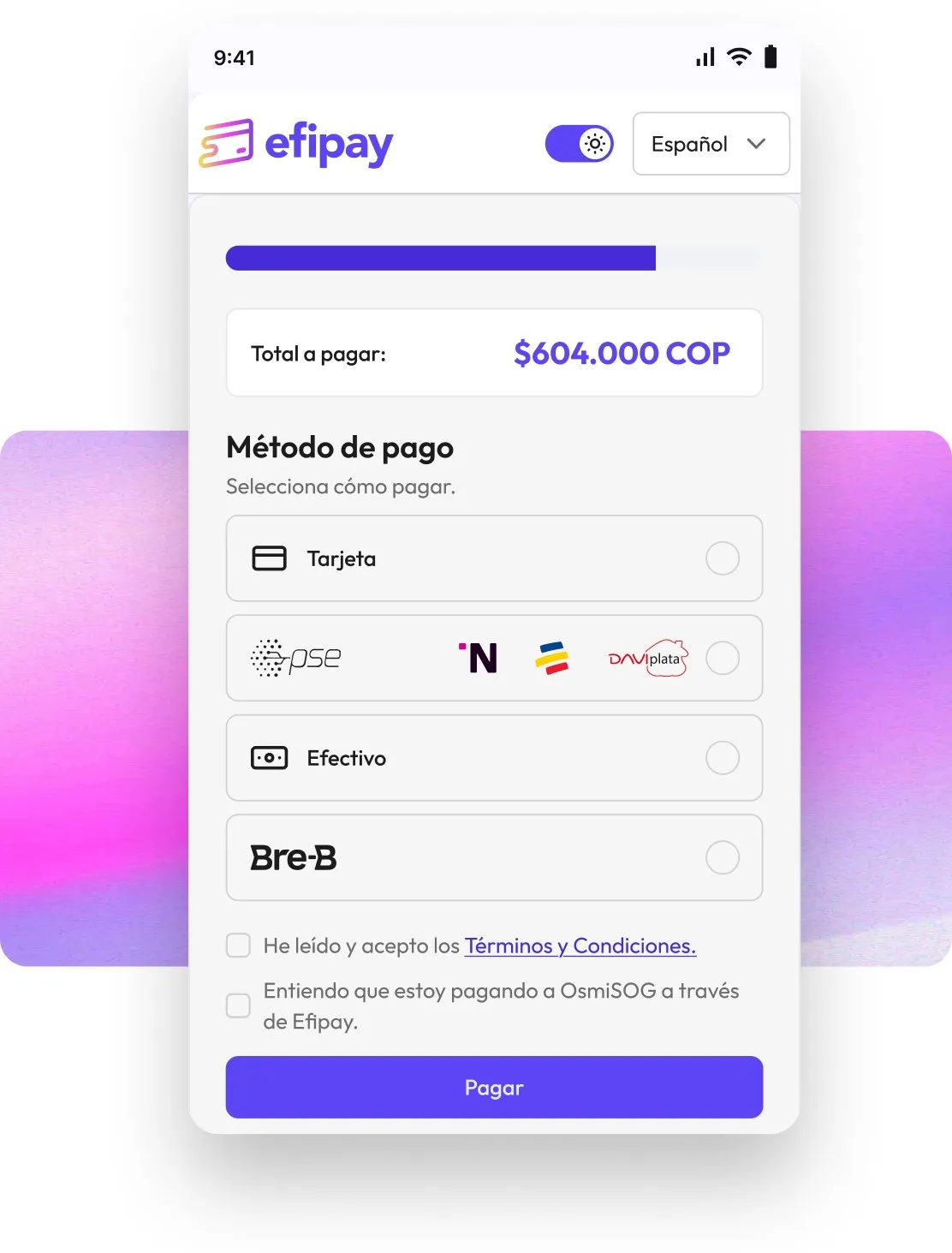 Checkout de Efipay integrado en un e-commerce